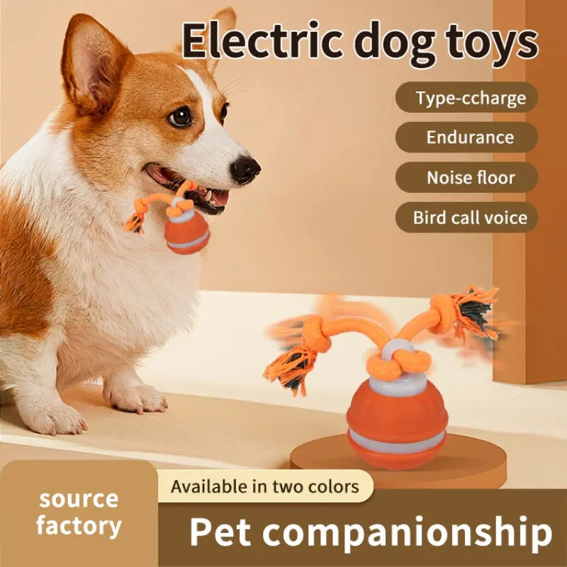 Interactive Smart Rolling Ball Toy for Dogs - Electric Pet Stimulation & Indoor Training, Durable & Bite-Resistant for Ultimate Boredom Relief