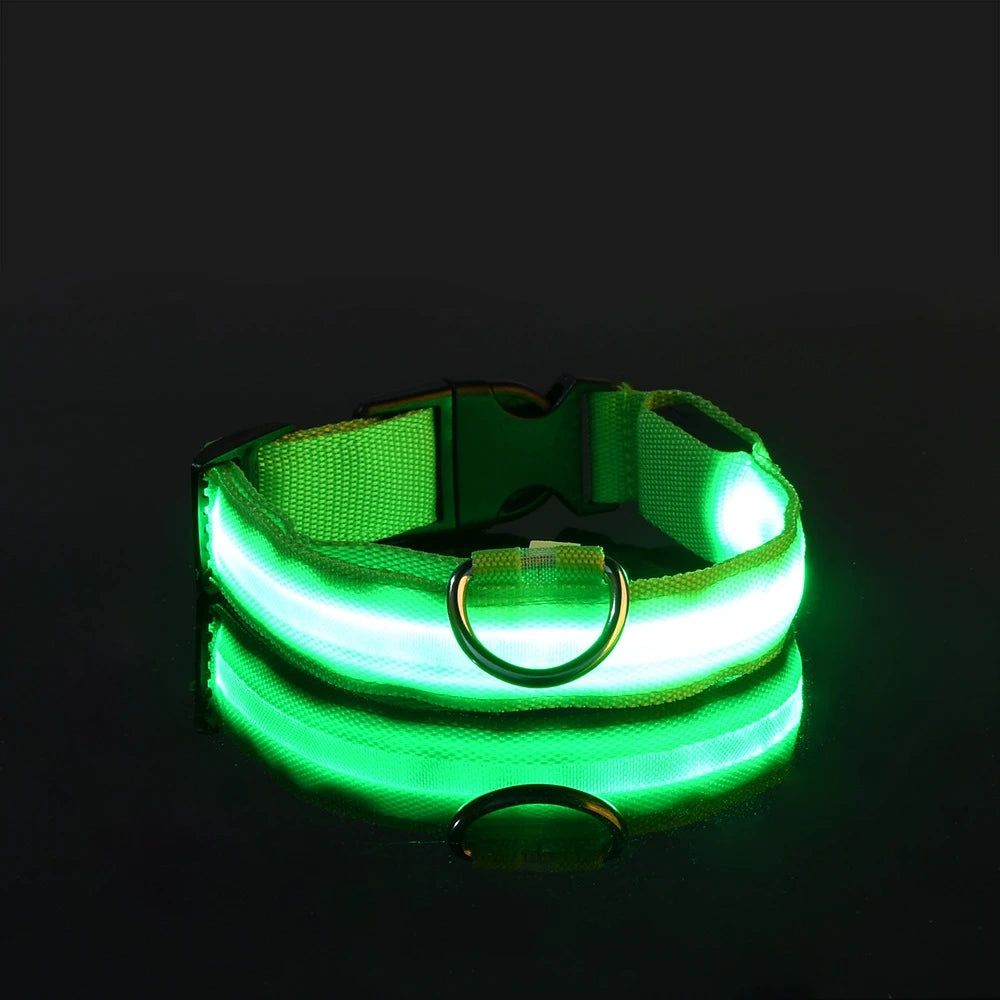 Glow in the Dark Nylon LED Dog Leash & Collar - Enhanced Night Safety for Your Pet