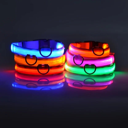 Glow in the Dark Nylon LED Dog Leash & Collar - Enhanced Night Safety for Your Pet