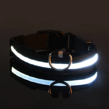 Glow in the Dark Nylon LED Dog Leash & Collar - Enhanced Night Safety for Your Pet