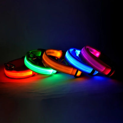 Glow in the Dark Nylon LED Dog Leash & Collar - Enhanced Night Safety for Your Pet