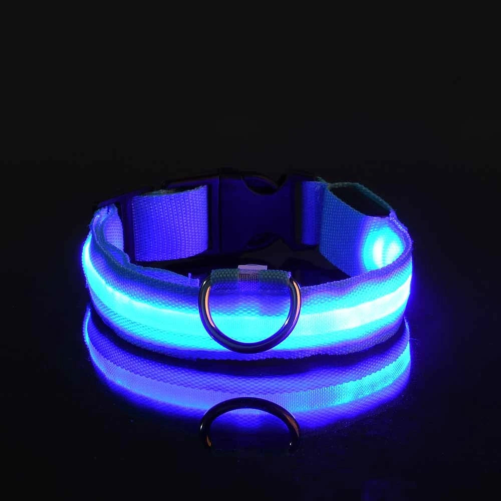 Glow in the Dark Nylon LED Dog Leash & Collar - Enhanced Night Safety for Your Pet