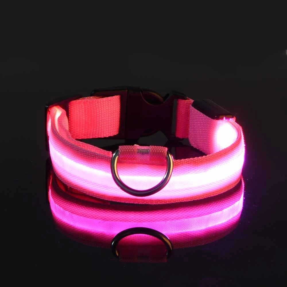 Glow in the Dark Nylon LED Dog Leash & Collar - Enhanced Night Safety for Your Pet