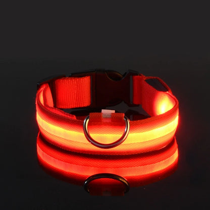 Glow in the Dark Nylon LED Dog Leash & Collar - Enhanced Night Safety for Your Pet