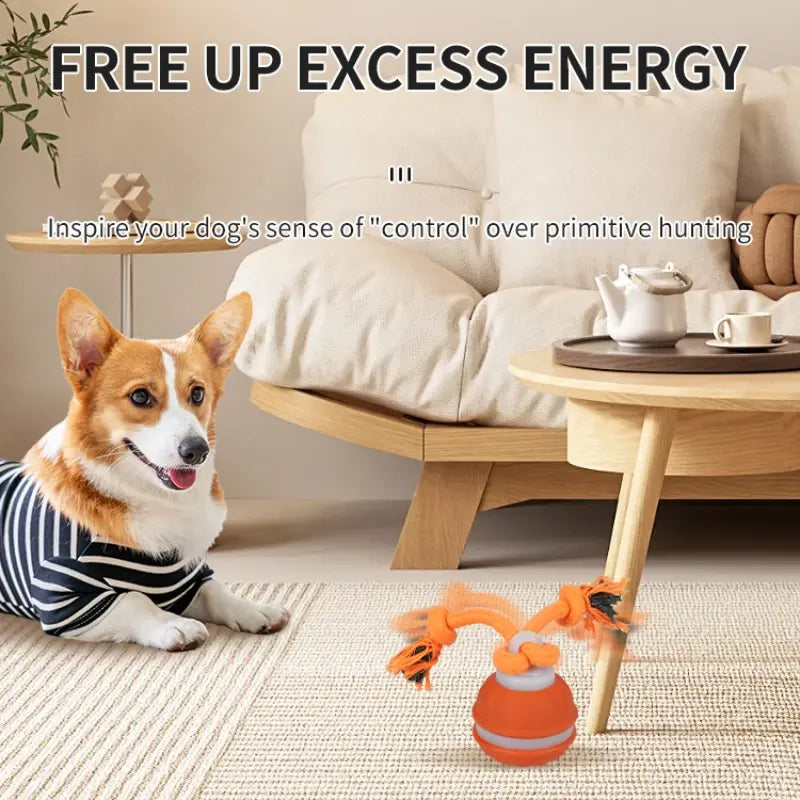 Interactive Smart Rolling Ball Toy for Dogs - Electric Pet Stimulation & Indoor Training, Durable & Bite-Resistant for Ultimate Boredom Relief