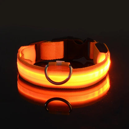 Glow in the Dark Nylon LED Dog Leash & Collar - Enhanced Night Safety for Your Pet
