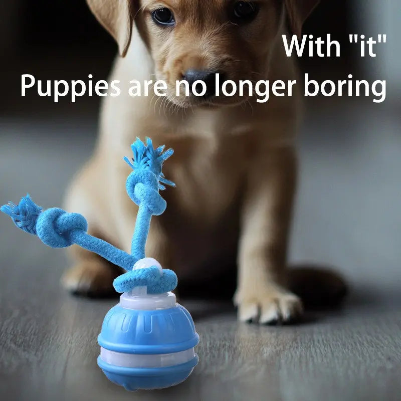 Interactive Smart Rolling Ball Toy for Dogs - Electric Pet Stimulation & Indoor Training, Durable & Bite-Resistant for Ultimate Boredom Relief