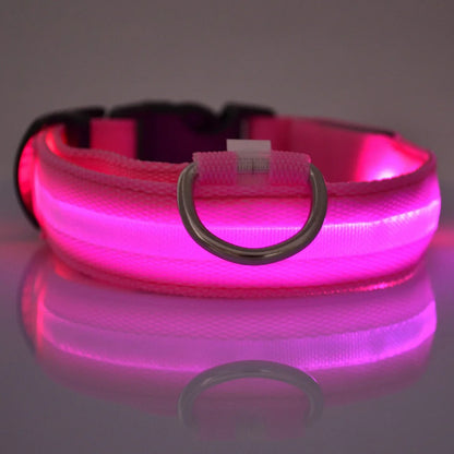 Glow in the Dark Nylon LED Dog Leash & Collar - Enhanced Night Safety for Your Pet