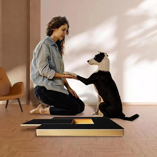 Ultimate Dog Nail Scratch Board with Treat Drawer - Stress-Free Grooming & Fun Filing Toy for All Breeds