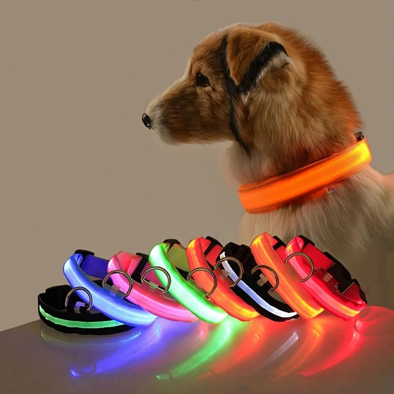 Glow in the Dark Nylon LED Dog Leash & Collar - Enhanced Night Safety for Your Pet