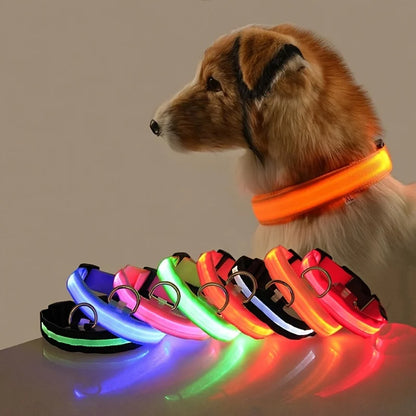 Glow in the Dark Nylon LED Dog Leash & Collar - Enhanced Night Safety for Your Pet