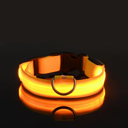 Glow in the Dark Nylon LED Dog Leash & Collar - Enhanced Night Safety for Your Pet